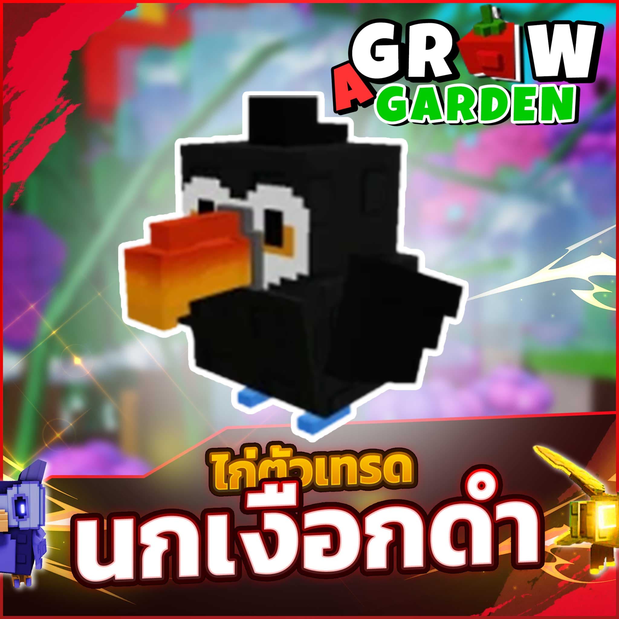 นกเงือกดำ ทูเเคน (ส่งกิฟ)